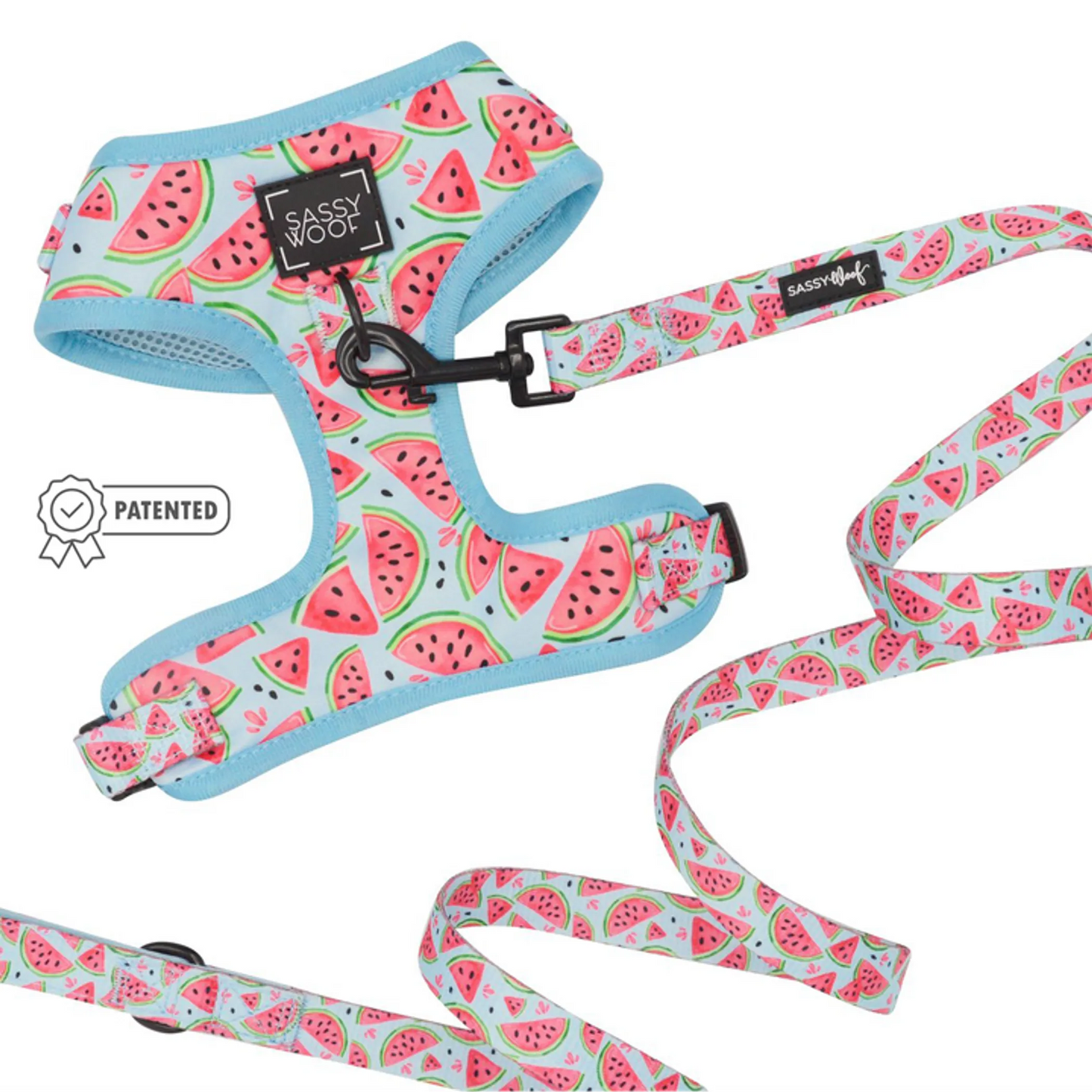 'Barks & Caicos' Collection: Tropical Vibe Dog Harness Bundle
