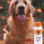 Lime Sulfur Dip - Pet Solution for Dermatitis, Mange, Ringworm, and Parasites