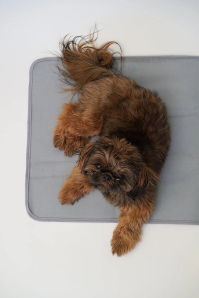 Thera-Pawz Warming Pad - Medium - Restorative Dog Bed