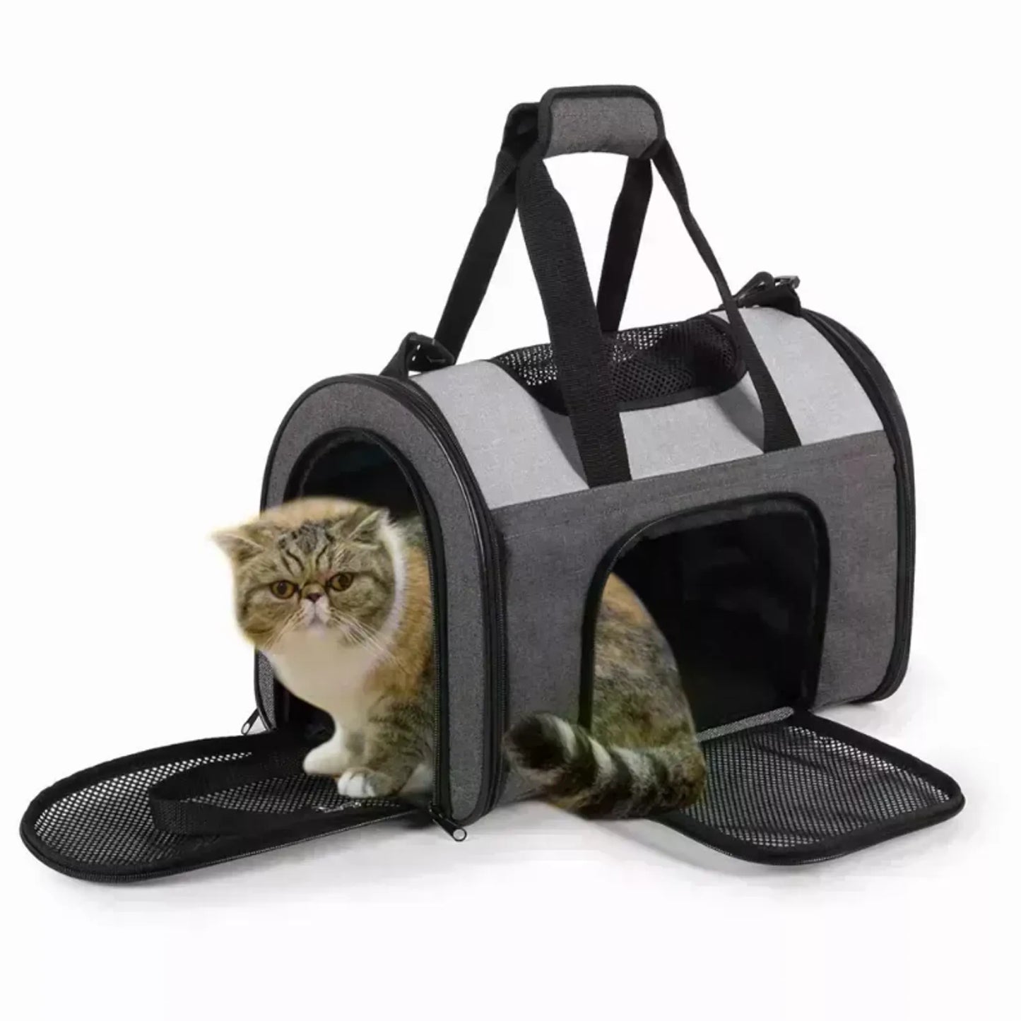 JESPET Soft-Sided Kennel Pet Carrier - Airline Approved, Collapsible & Comfortable