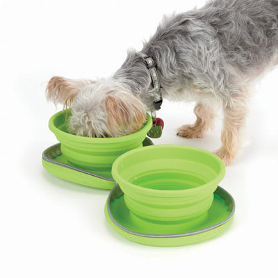 CR Collapsible Travel Diner - Portable Solution for Pet Feeding