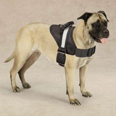 Guardian Gear Excursion Harness - Comfortable & Adjustable Dog Harness