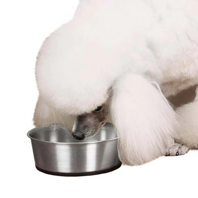 PS Silicone Base SS Bowl - Non-Slip Pet Feeding Dish, 52 oz