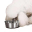 ProSelect SS Bowl with Rubber Base: Secure Pet Bowl for Mess-Free Feeding