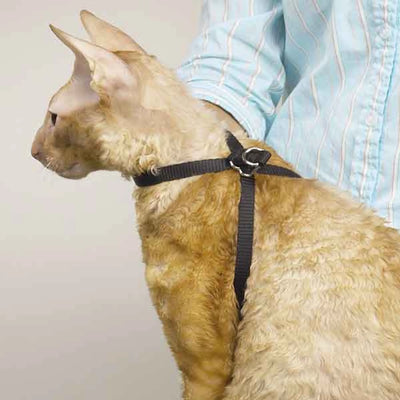 Adjustable Nylon Cat Harness - Secure & Comfortable