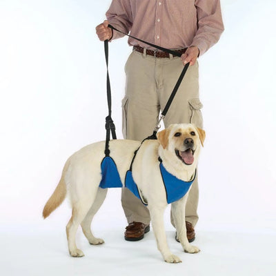 GG Lift & Lead 4in1: Supportive Pet Harness for Easy Mobility