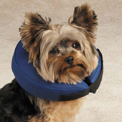 Inflatable Collar - Comfortable & Safe Alternative to Traditional Collars