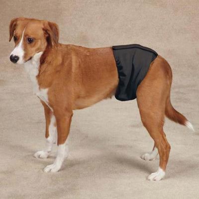 Clean Go Pet Washable Male Wrap - House Training Aid