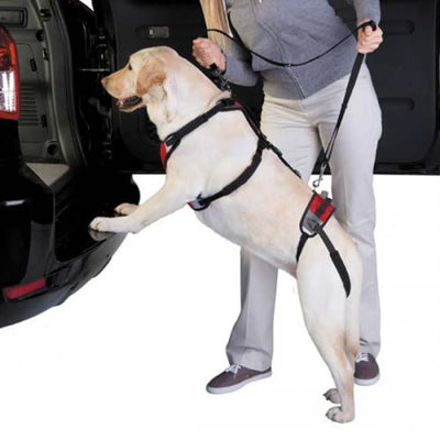 Total Pet Health Lift & Go Lead: Supportive Pet Harness for Easy Mobility