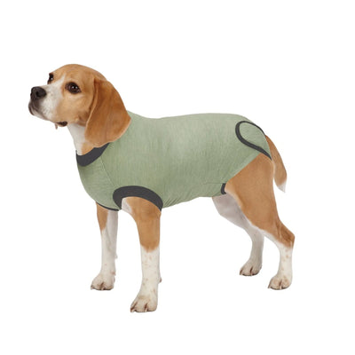 TPH Recovery Suit - Comfortable Healing Aid for Pets