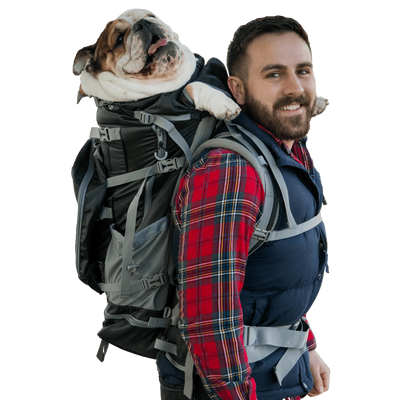 Kolossus | Big Dog Carrier & Backpacking Pack - Myrtle Green - Comfort on the Go