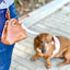 Bella Rose Treat Bag - Handmade Leather Pet Accessory