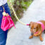 Bella Rose Treat Bag - Handmade Leather Pet Accessory