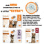 WizSmart Essentials Scented Dog Pads - Super Absorbent, Large Size