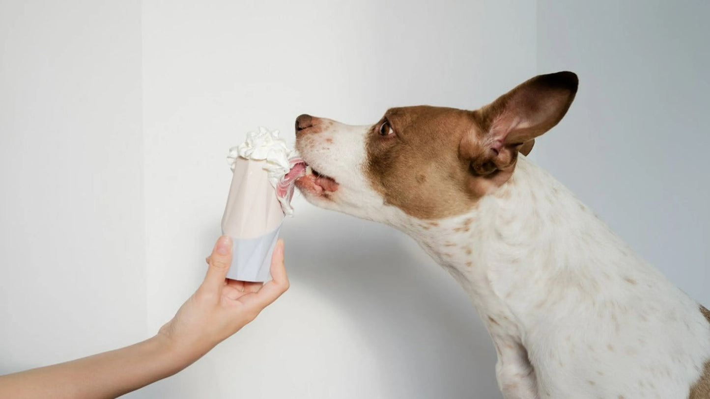 The Ubbe - Easy Cleaning Treat Filler Chew Toy