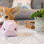 The Odin - Modern Treat Dispensing Dog Puzzle