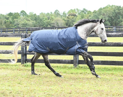 Gatsby 600D Lightweight 100gm Waterproof Turnout Blanket