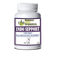 Endo Support Capsules - Endocannabinoid System Support for Dogs & Cats