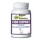 Endo Support Capsules - Endocannabinoid System Support for Dogs & Cats