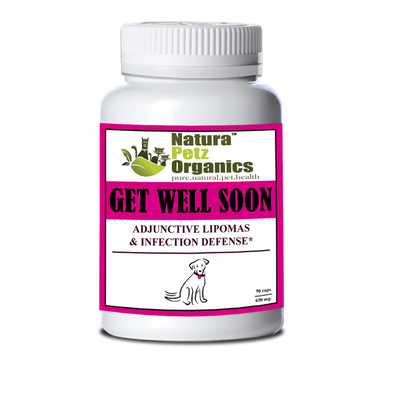 Get Well Soon - Adjunctive Lipoma Support and Infection Defense