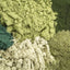 Daily Greens Glow Multi-Vitamin & Multi-Mineral Meal Topper for Dogs and Cats