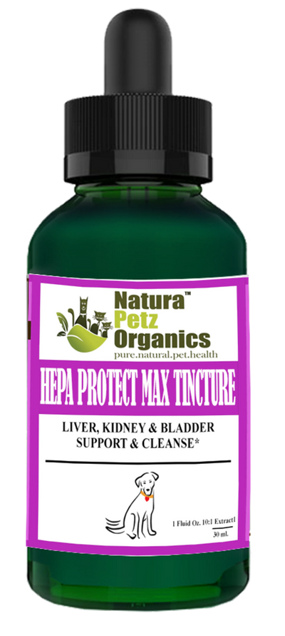 Hepa Protect Max Tincture Master Blend - Liver, Kidney & Bladder Support & Cleanse for Pets