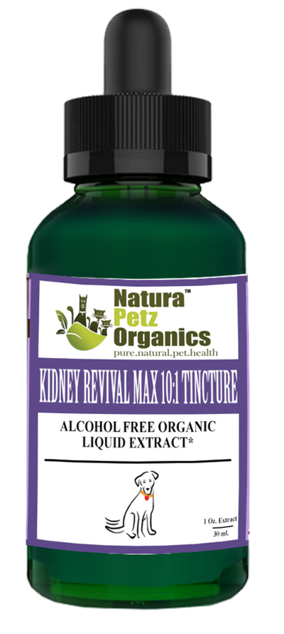Kidney Revival Max Tincture for Adult & Senior Dogs - Kidney Cleanse & Support - 1 Oz