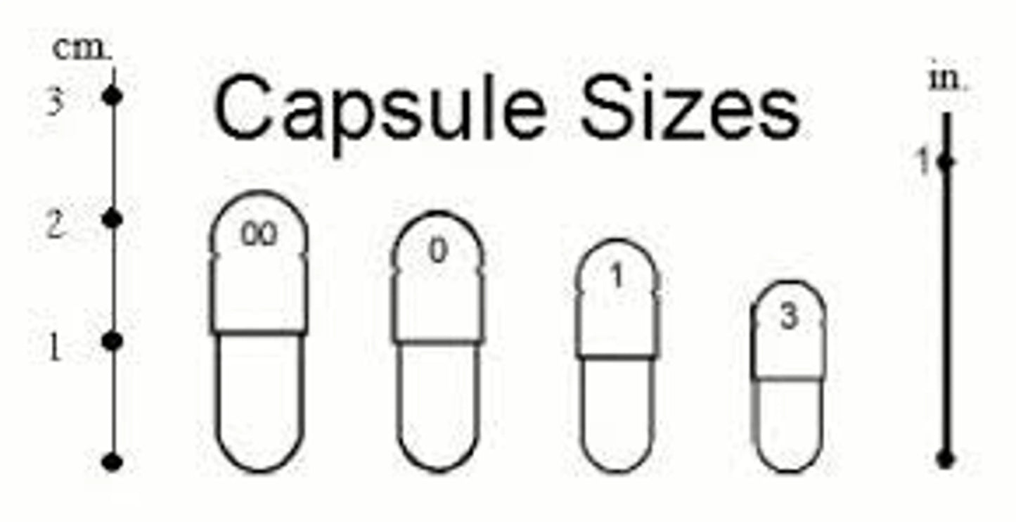 Seal Em & Heal Em Capsules - Wound & Infection Support for Horses*