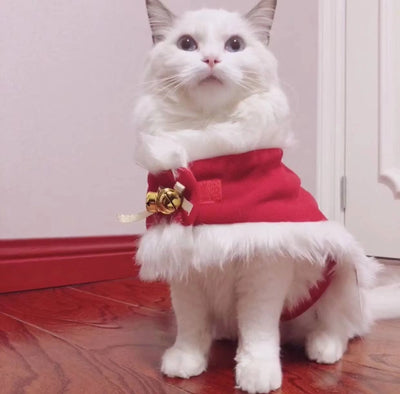 Merry Christmas Pets Beautiful Clothes - Small, Red/White