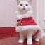 Merry Christmas Pets Beautiful Clothes - Small, Red/White