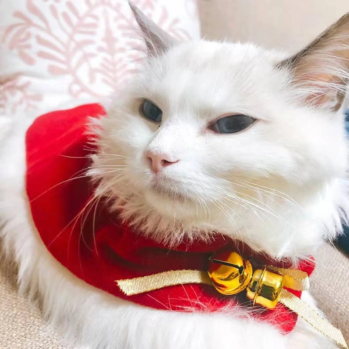 Merry Christmas Pets Beautiful Clothes - Small, Red/White