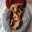 Super Soft Marshmallow Pets Bed