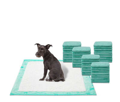 WizSmart All Day Dry Super Absorbent Dog Pads, 50-Count