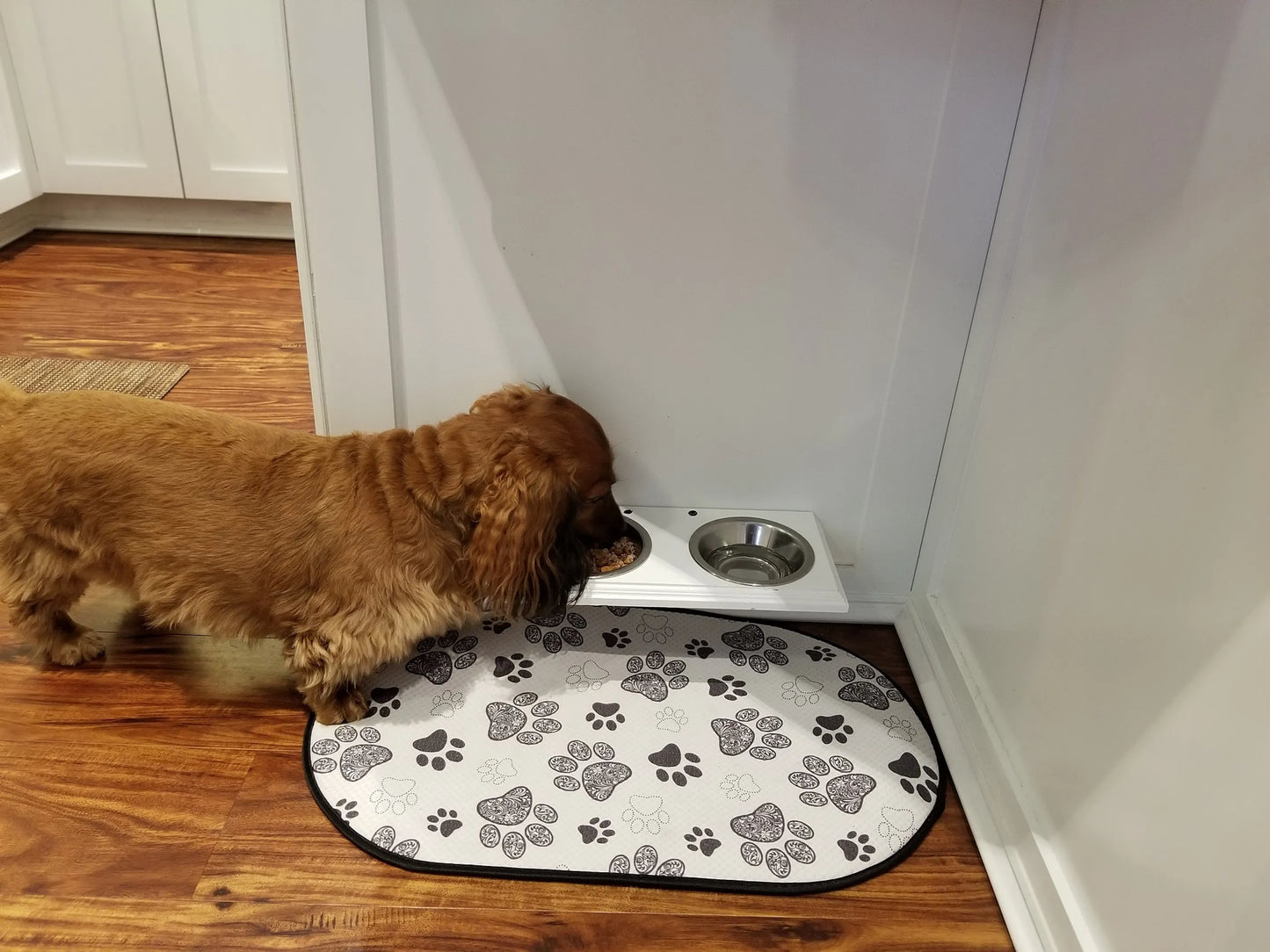 Champion Bowl Pet Food Holder - Convenient Wall Mounted Feeder