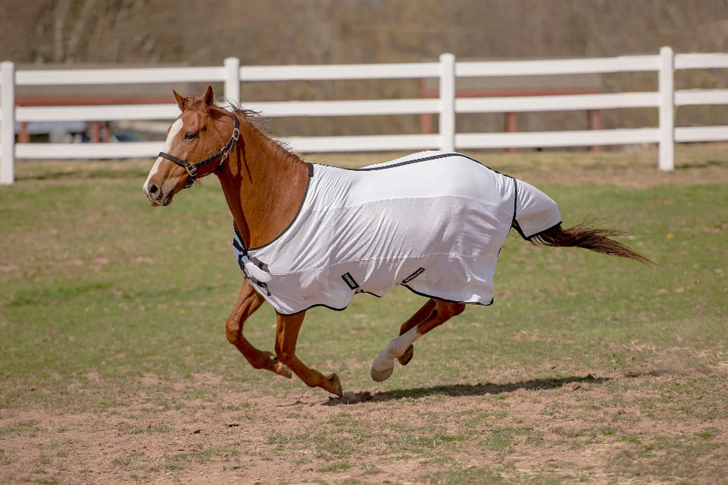 TuffRider Sport CoolMax/Mesh Blend Standard Neck Fly Sheet