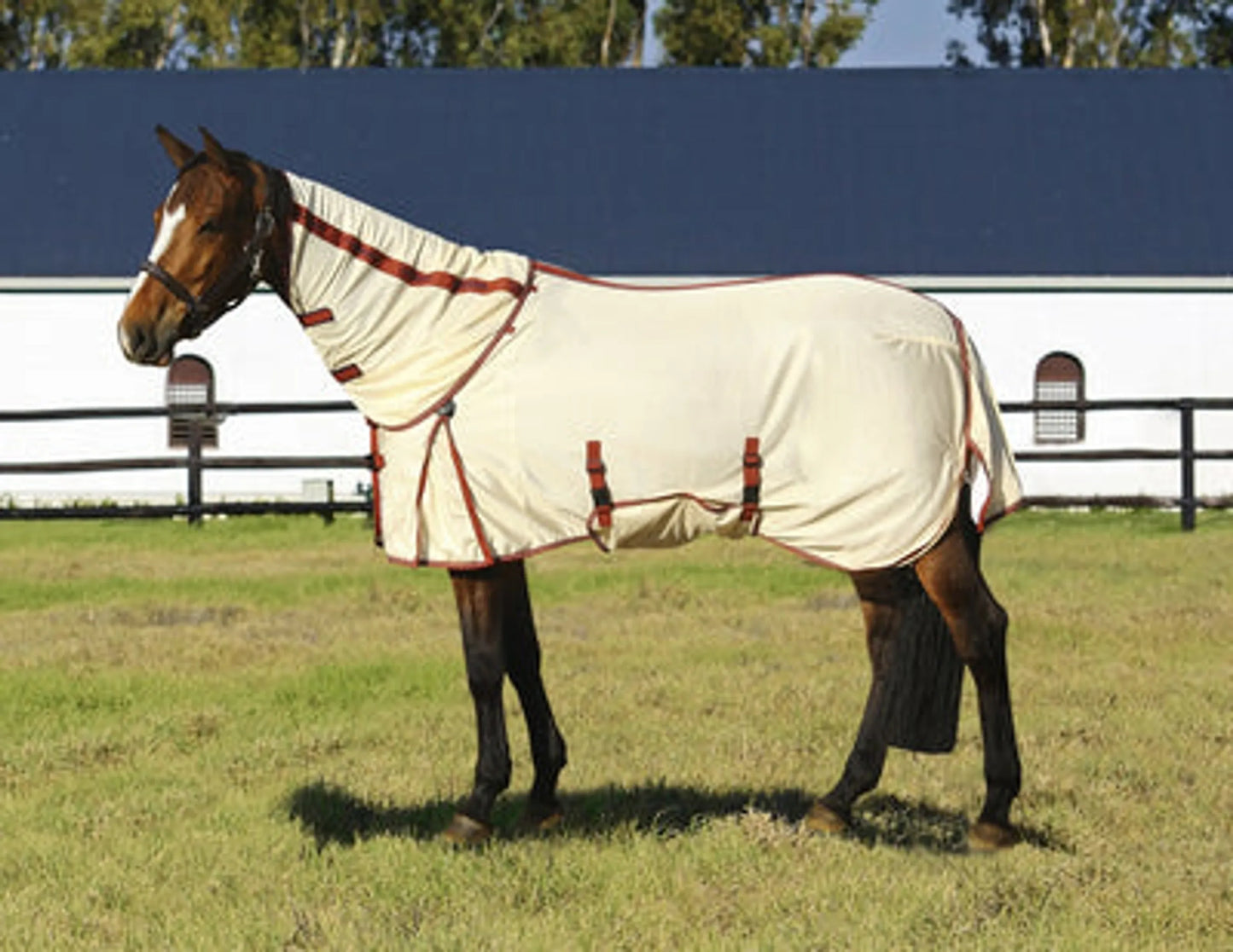 TuffRider Power Mesh Detachable-Neck Fly Sheet