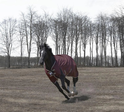TuffRider Optimum 1680D Triple Weave Herringbone with Heavy Weight Thermo Manager To 360 GMS Detachable Neck Turnout