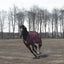 TuffRider Optimum 1680D Triple Weave Herringbone with Medium Weight Thermo Manager To 220 GMS Hi Neck Turnout