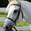 Henri de Rivel Advantage Plain Raised Snaffle Bridle With Laced Reins