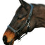 Henri de Rivel Stress Free Halter With Fancy Contrast Stitching