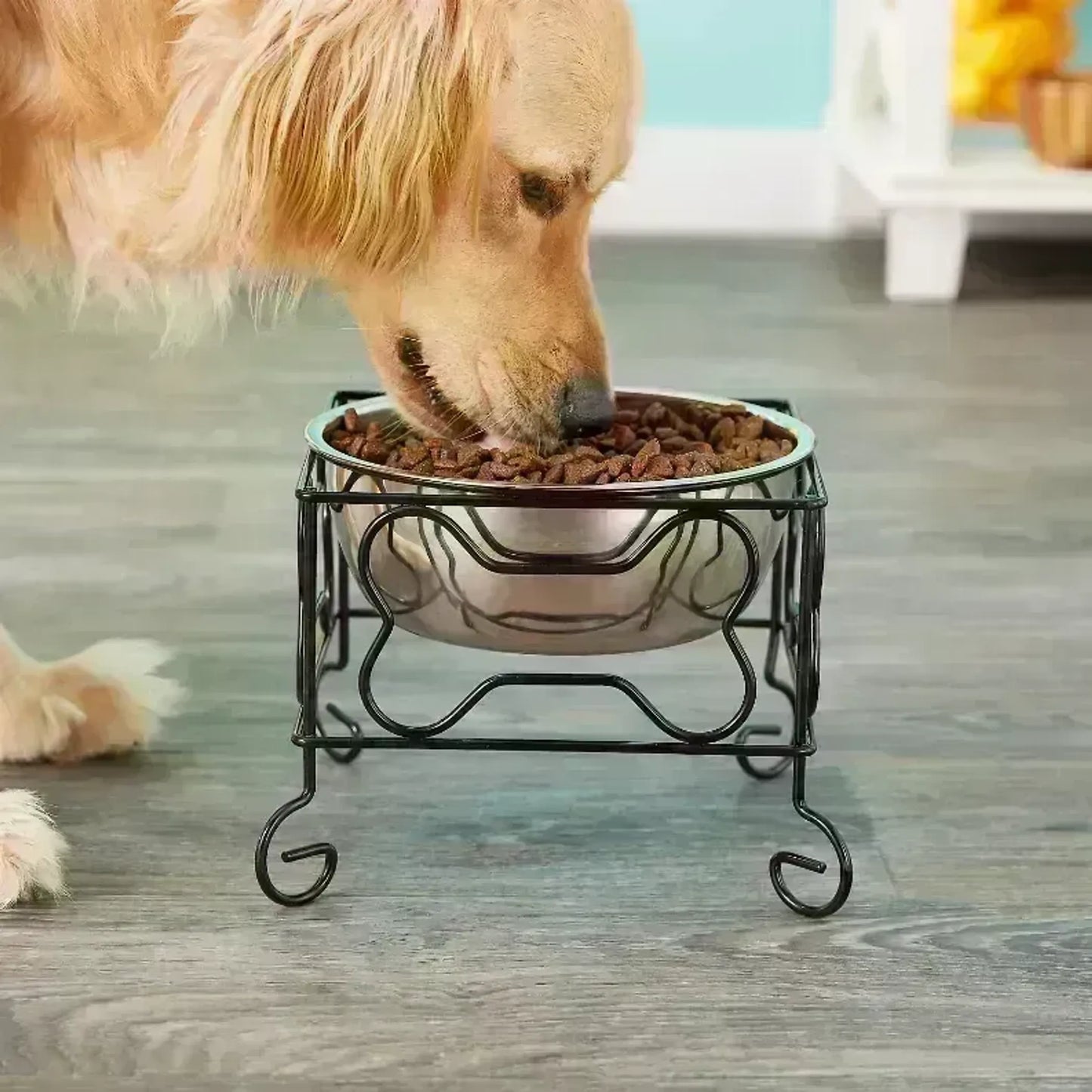 YML Wrought Iron Stand with Single Stainless Steel Feeder Bowl - Stylish and Comfortable Pet Feeder