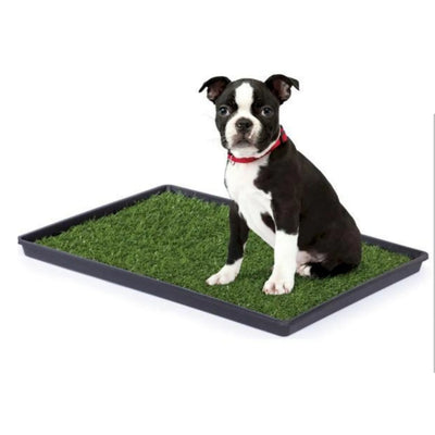 Mr. Peanut's Potty Place - Convenient Artificial Grass Puppy Pad
