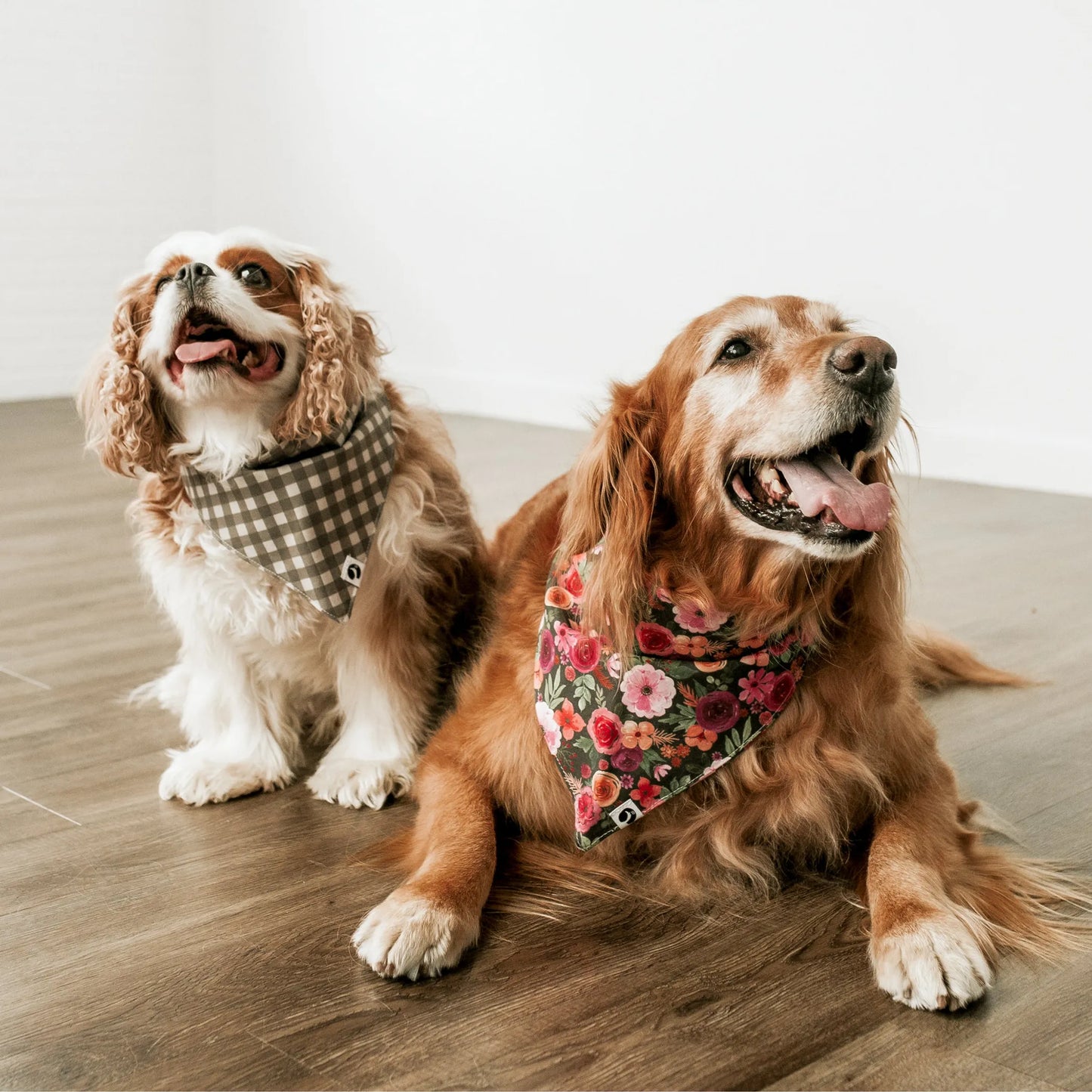 Mulberry Bouquet Dog Bandana by Puppy Community - Elegant Dog Accessory