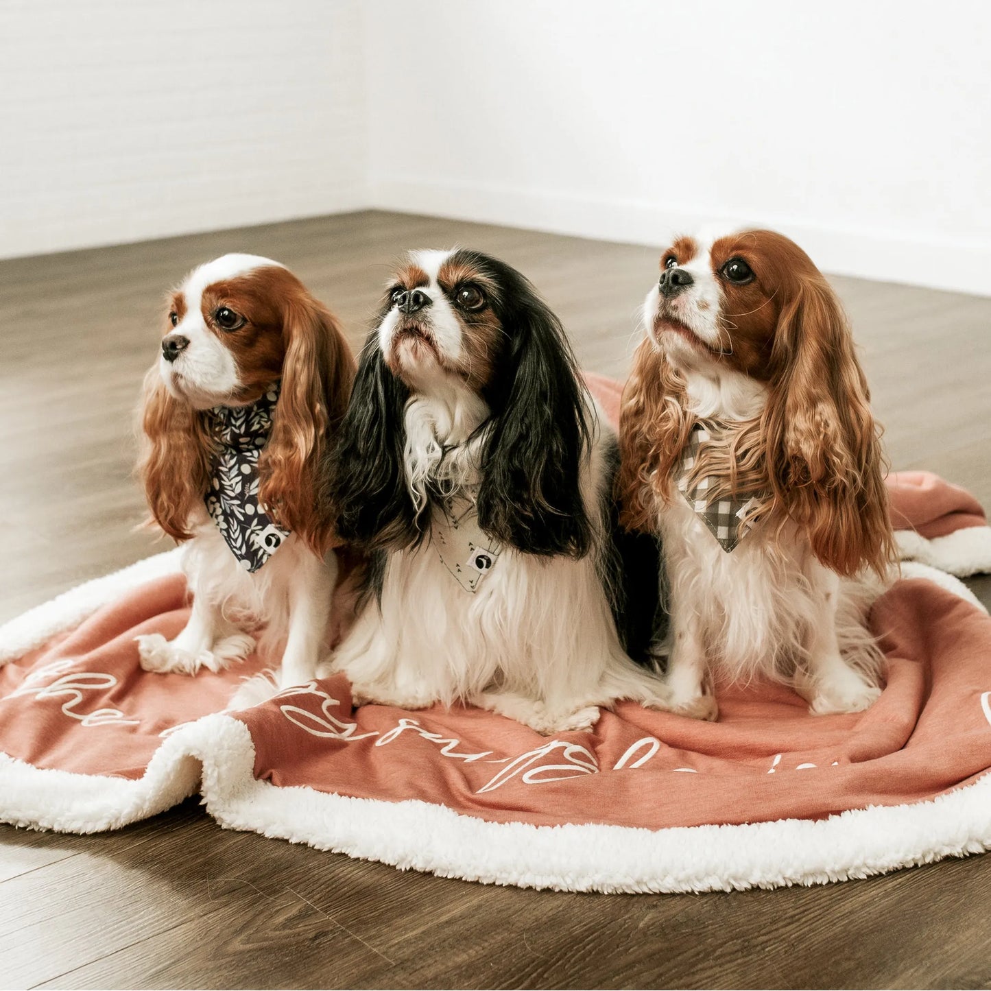 Rosewood Throw Blanket by Puppy Community - Soft Blanket for Pets