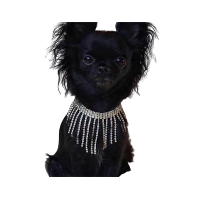 Sparkle Dior Dog Necklace - Elegant Collars & Harnesses Accessory