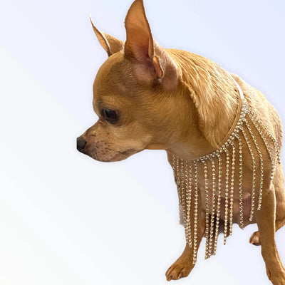 Starlet Crystal Diamond Fringe Dog Collar