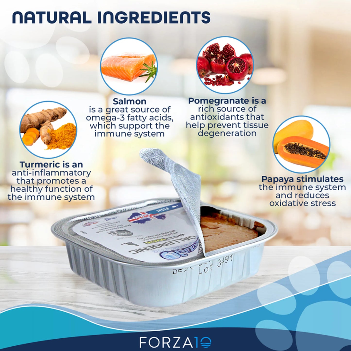 Forza10 Actiwet Hypoallergenic Icelandic Fish Recipe Canned Cat Food - Enhances Overall Health & Wellness