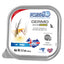Forza10 ActiWet Dermo Support Icelandic Fish Recipe Canned Cat Food - Supports Skin & Coat Health