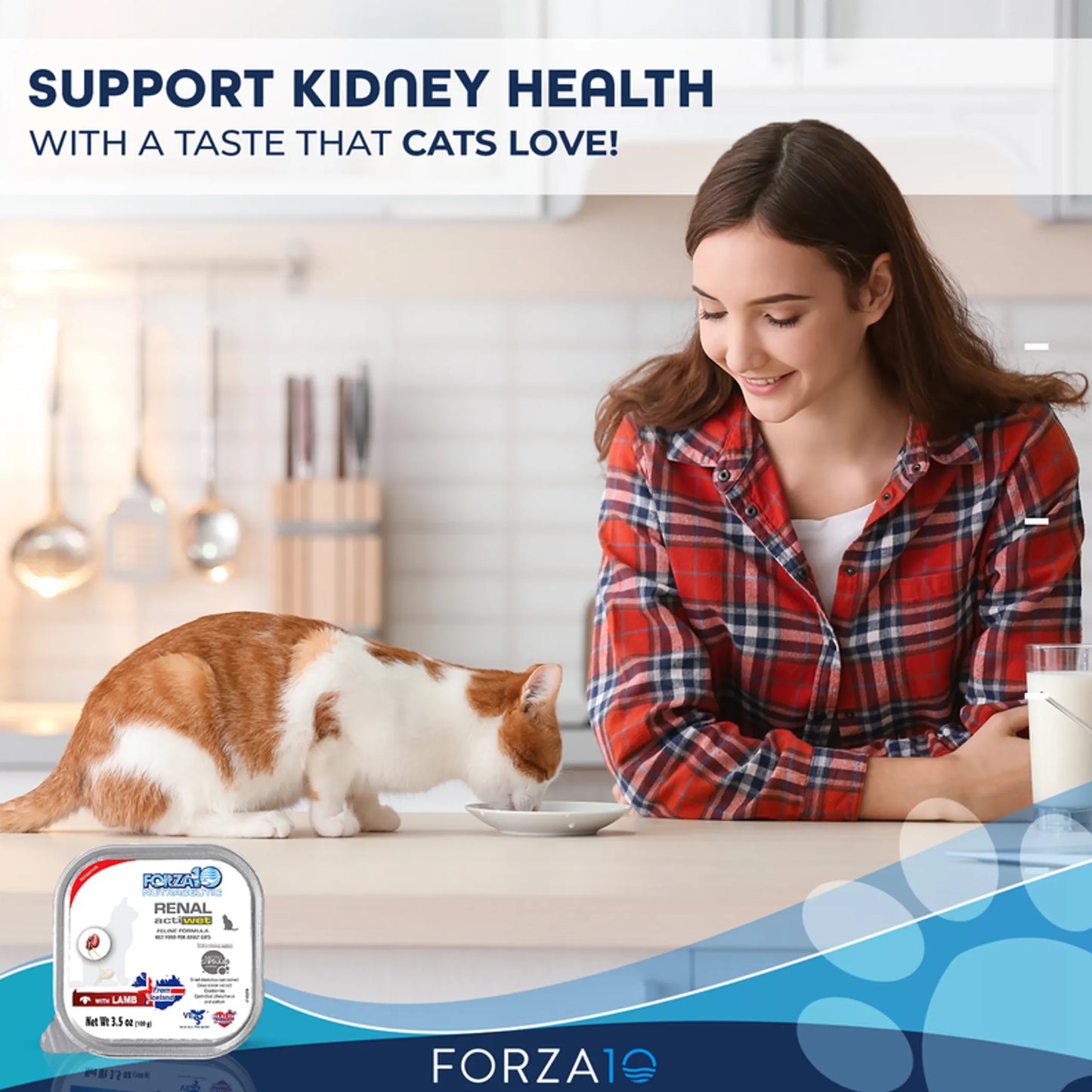 Forza10 Actiwet Renal Support Canned Cat Food - Supports Renal & Cardiac Health