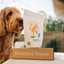 Bulk Superfood Dog Treats - Healthy & Delicious
